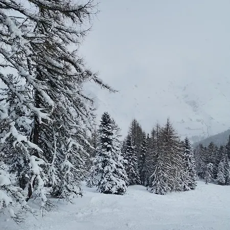 Casa vacanze Le Snow Au Coeur De Et Randonnées *