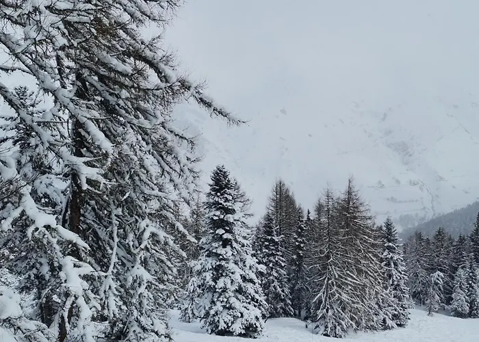 別荘 Le Snow Au Coeur De Et Randonnees *